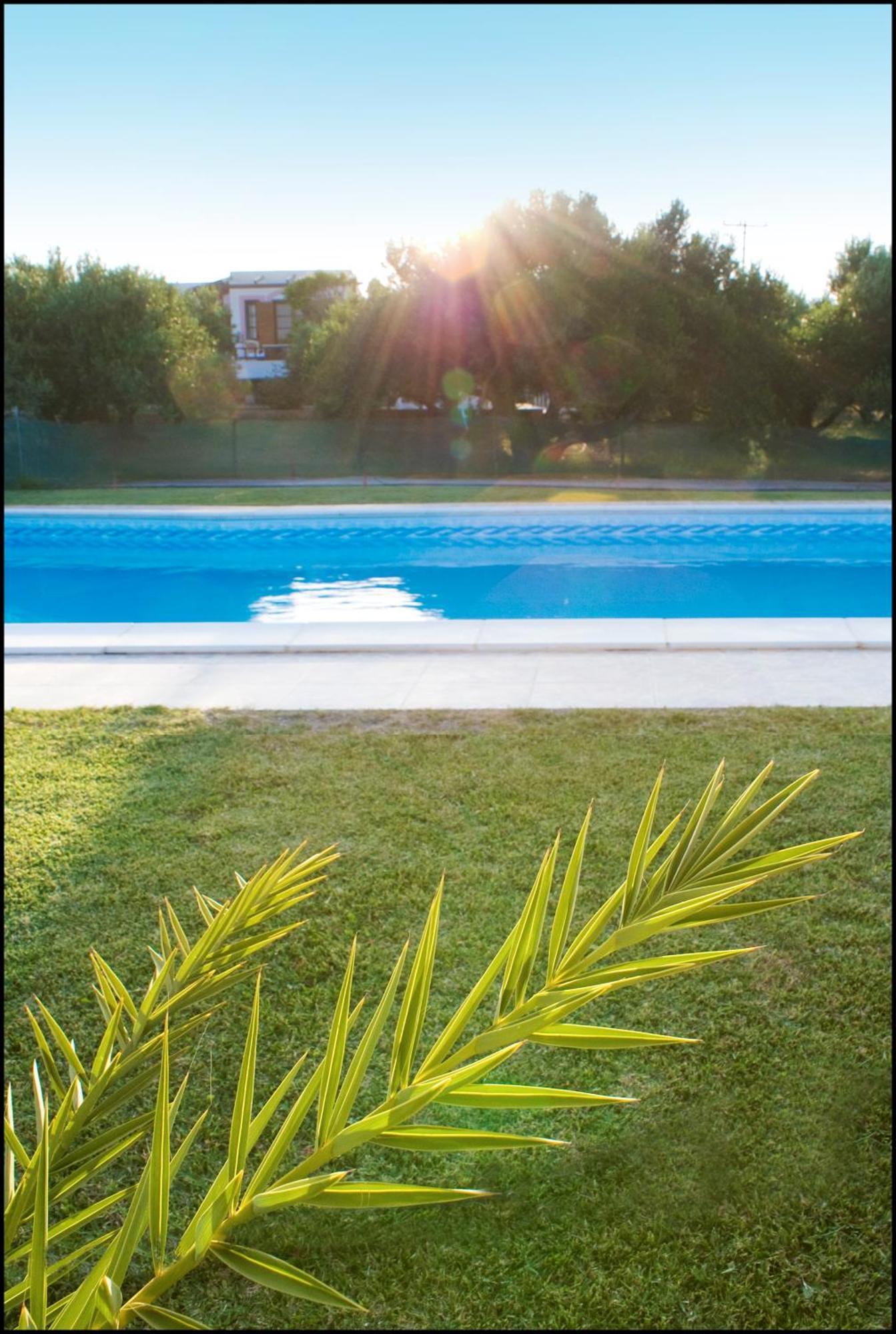 Appartement Casa Di Mare à Palekastro Extérieur photo