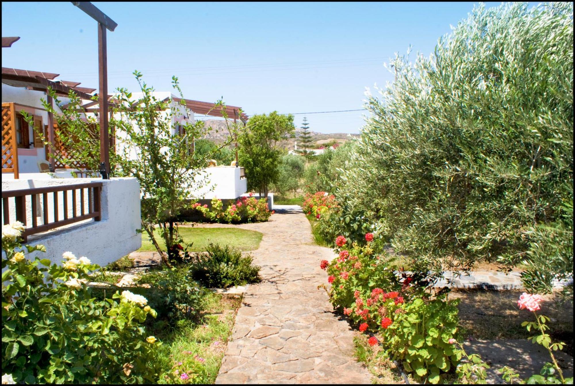 Appartement Casa Di Mare à Palekastro Extérieur photo