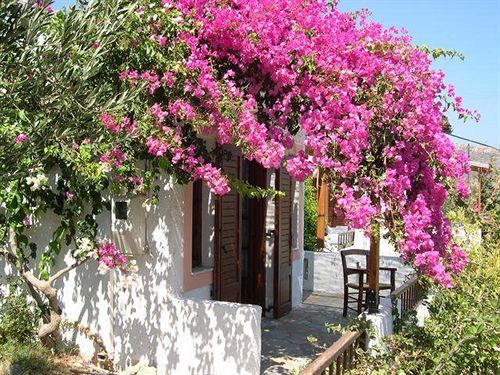 Appartement Casa Di Mare à Palekastro Extérieur photo
