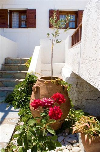 Appartement Casa Di Mare à Palekastro Extérieur photo